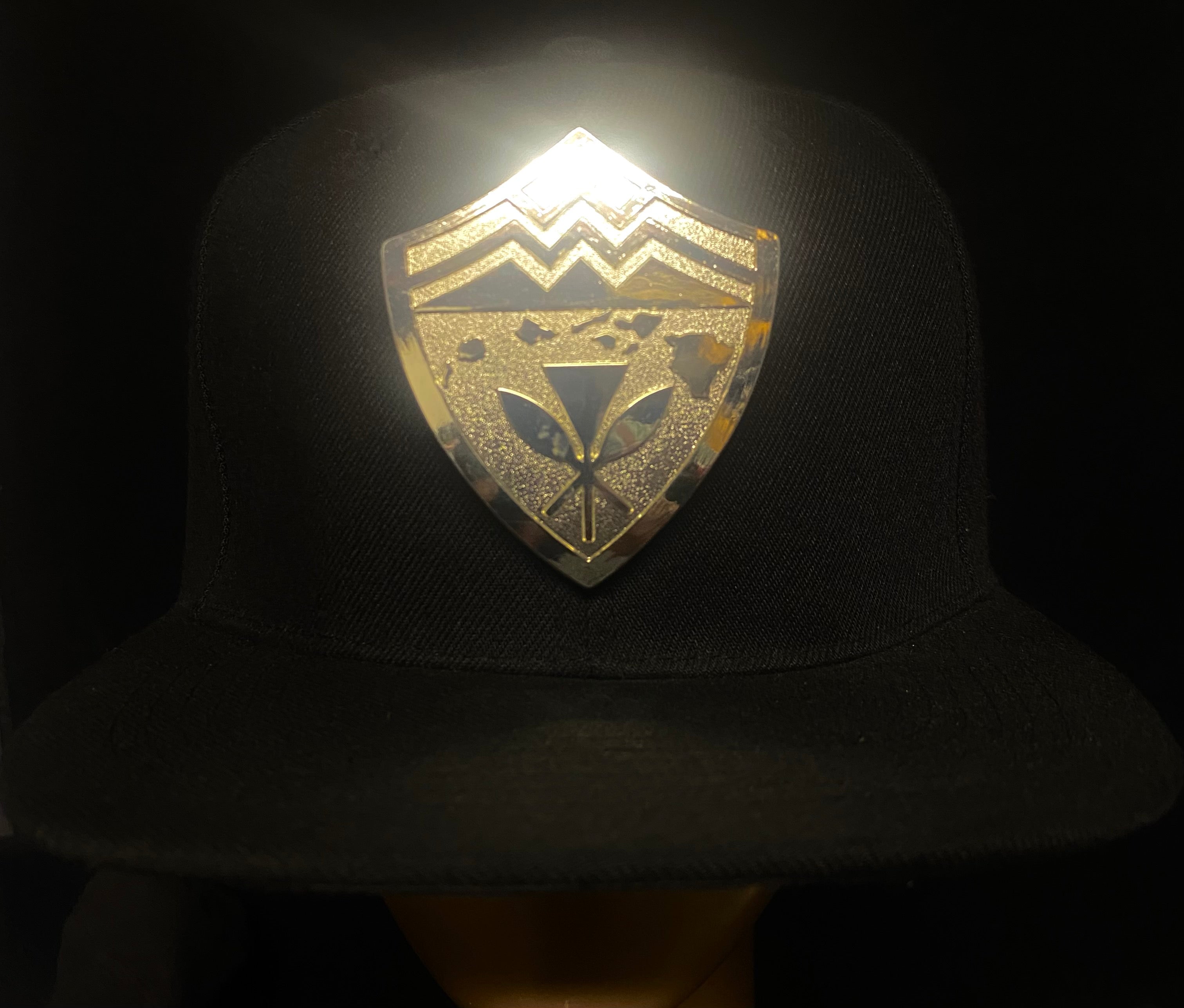 Hawaii Steel Emblem Metal Limited Snapback