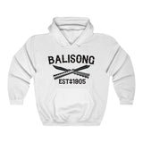 Balisong Established Unisex Heavy Blend™ Hooded Sweatshirt