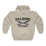 Balisong Established Unisex Heavy Blend™ Hooded Sweatshirt